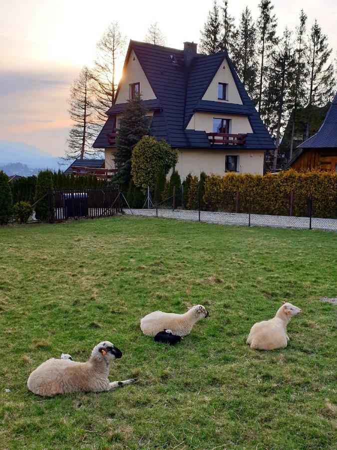 Apartamenty Bella Vista Zakopane Exterior foto